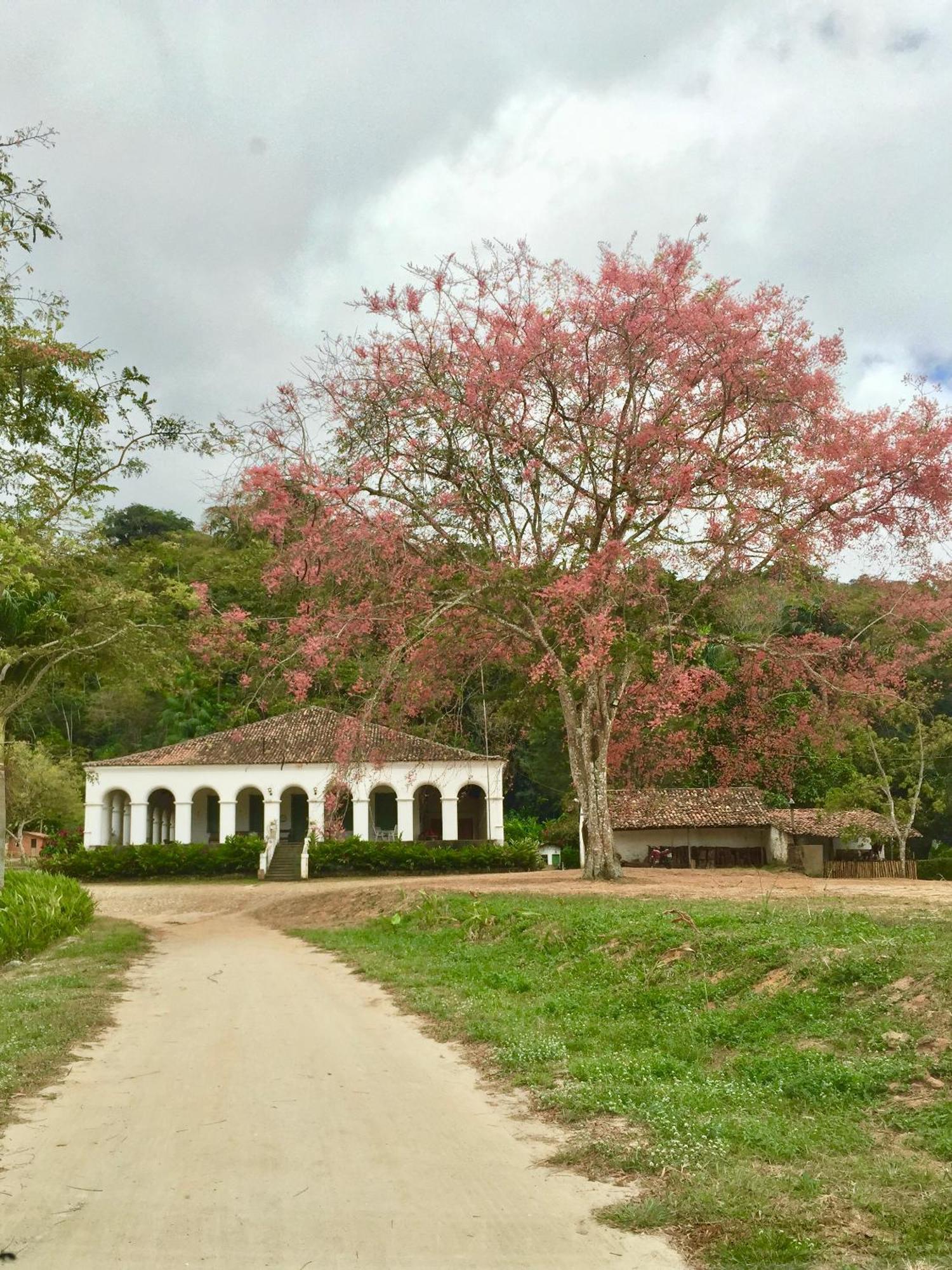 Chale Suico - Chales Belo Monte - Sitio Belo Monte 帕科蒂 外观 照片